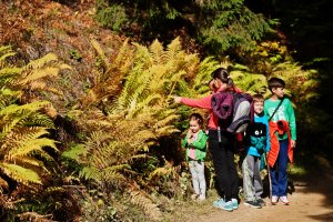 A mother with her kids on a hike
