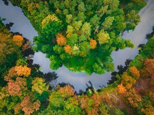 Aerial view of a river surrounded with trees